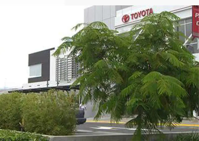 Ciudad Toyota — foto 3